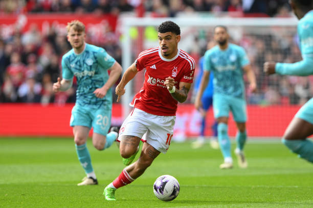 更有极高的 更有极高的